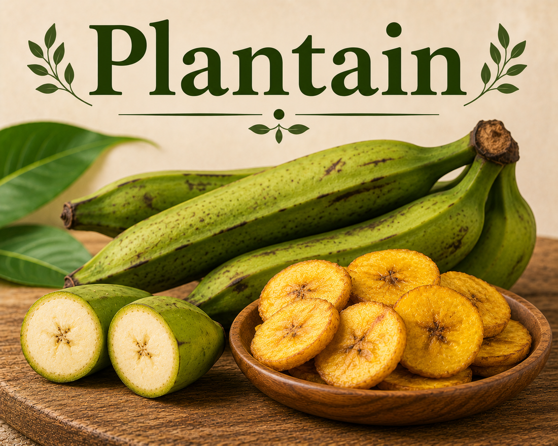 Fresh and ripe plantains showcasing their fiber, potassium, complex carbohydrates, vitamins, and wellness-supporting nutritional benefits.