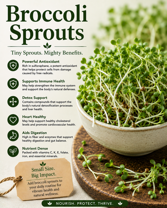 Broccoli Sprouts: Benefits, Uses, Side Effects & How to Use Them Safely