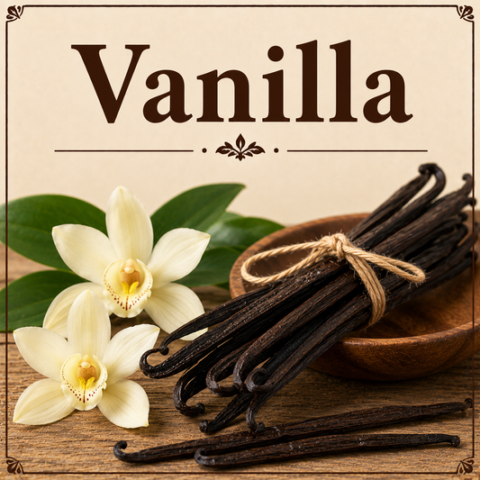Vanilla beans showcasing their natural aroma, vanillin compounds, antioxidant properties, and wellness-friendly culinary uses.
