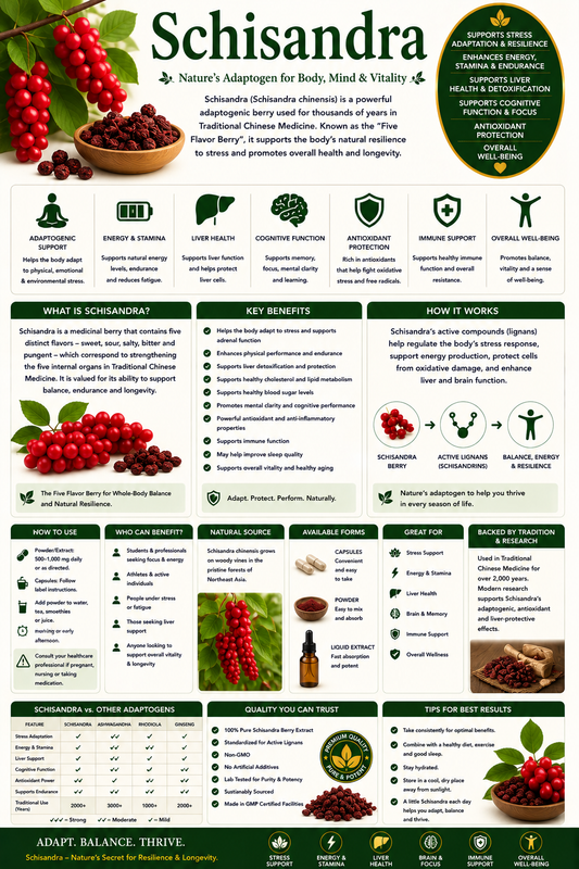 Schisandra berries and supplement capsules supporting stress resilience, energy, cognitive wellness, liver health, and healthy aging.