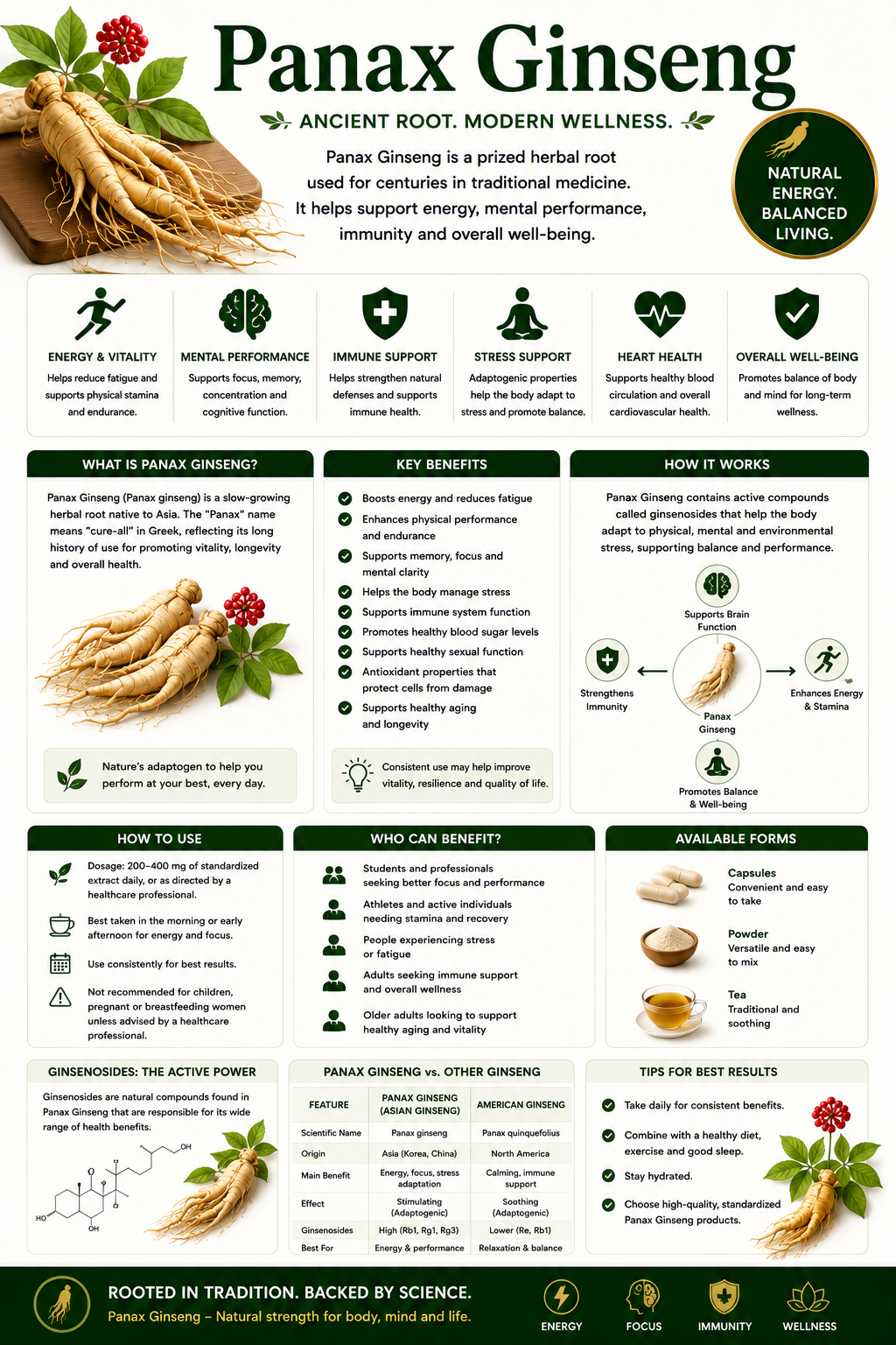 Panax Ginseng root, capsules, and extract supporting energy, cognitive wellness, immune health, vitality, and healthy aging.
