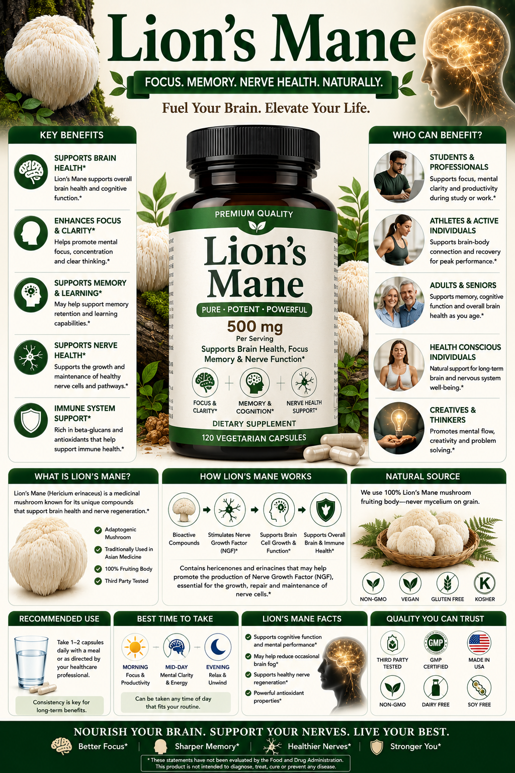 Lion's Mane mushroom and supplement capsules supporting memory, focus, brain health, cognitive wellness, and healthy aging.