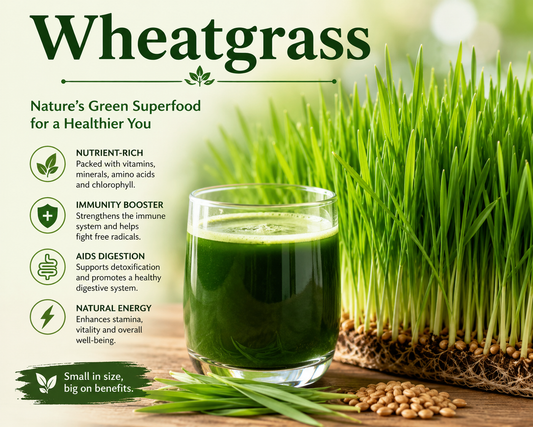 Fresh Wheatgrass juice and Wheatgrass powder with green shoots supporting nutrition, antioxidant intake, healthy energy levels, and overall wellness.