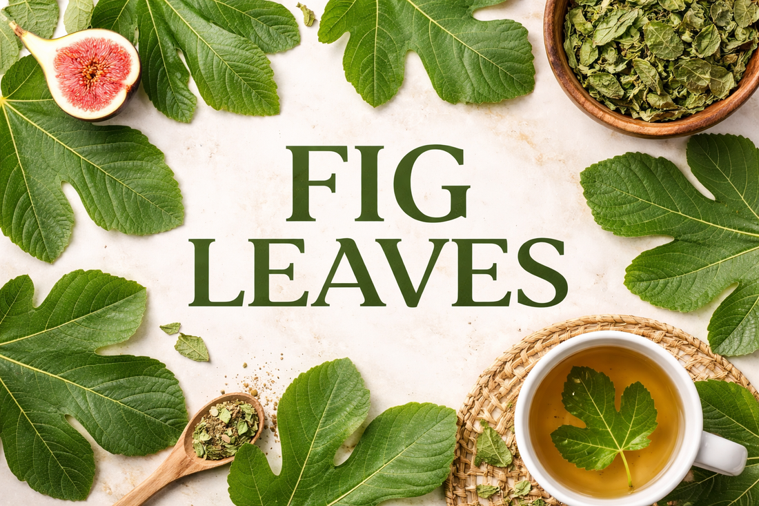 🌿 FIG LEAVES
