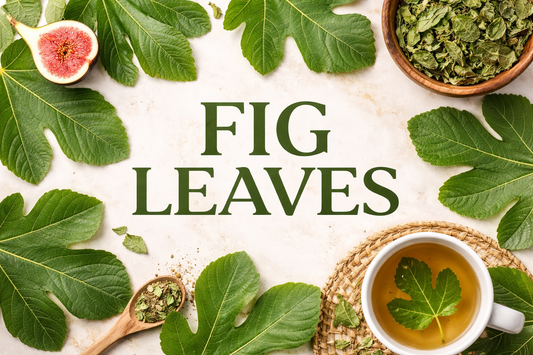 🌿 FIG LEAVES