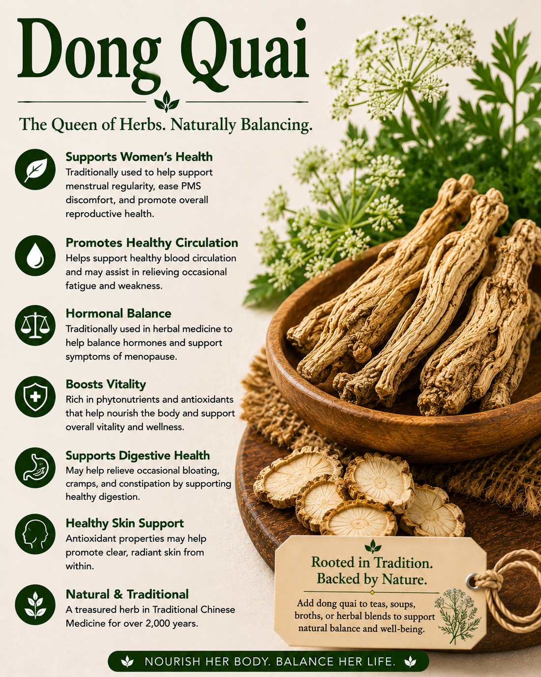 Dong Quai natural remedy benefits uses side effects and wellness guide