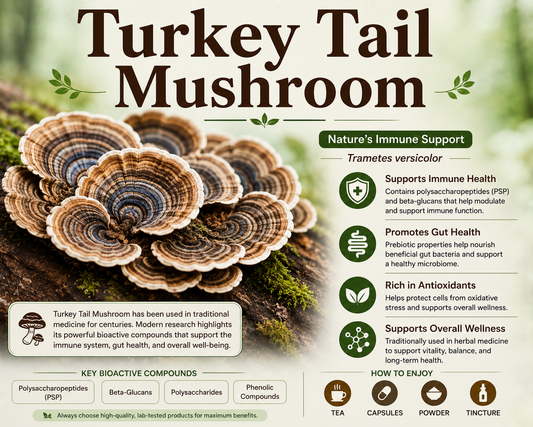 Turkey Tail Mushroom: Benefits, Uses, Side Effects & Safety Guide