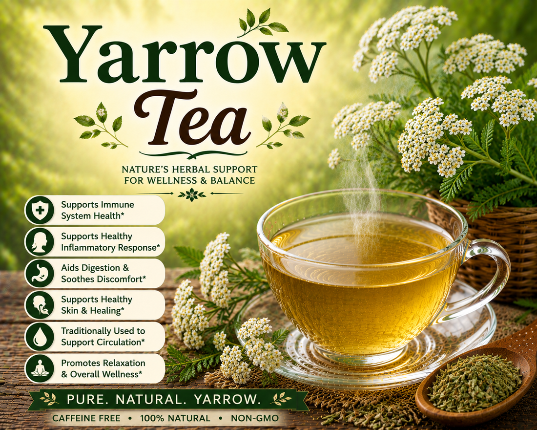 Yarrow Tea Benefits, Uses, Side Effects & How to Make Yarrow Tea at Home