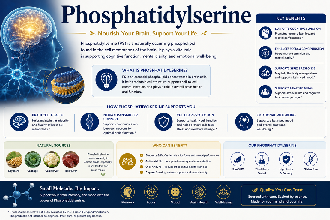 Phosphatidylserine: Benefits, Uses, Side Effects & Safety Guide