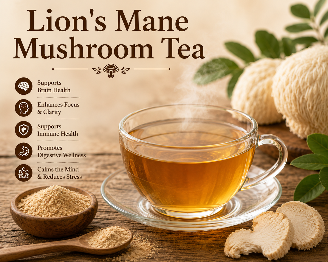 Lion's Mane Mushroom Tea Benefits, Uses, Side Effects & How to Make Lion's Mane Tea at Home