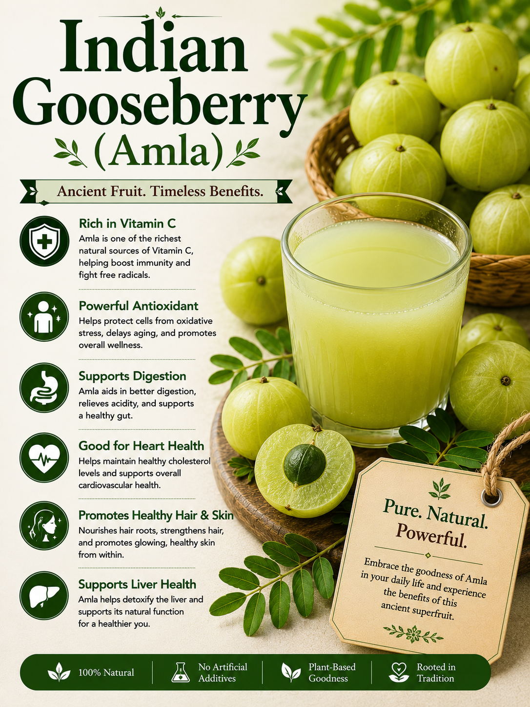 Indian Gooseberry Amla natural remedy benefits uses side effects and wellness guide