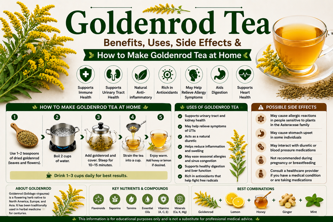 Goldenrod Tea Benefits, Uses, Side Effects & How to Make Goldenrod Tea at Home