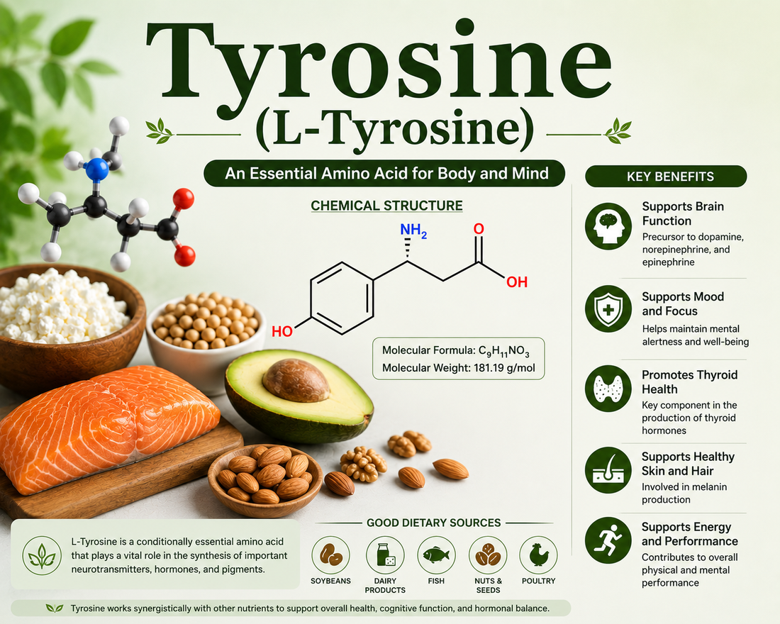 L-Tyrosine supplement capsules supporting focus, cognitive performance, mental clarity, stress management, and brain health
