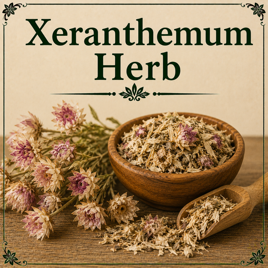 Xeranthemum Herb benefits uses side effects traditional herbal wellness and botanical health guide