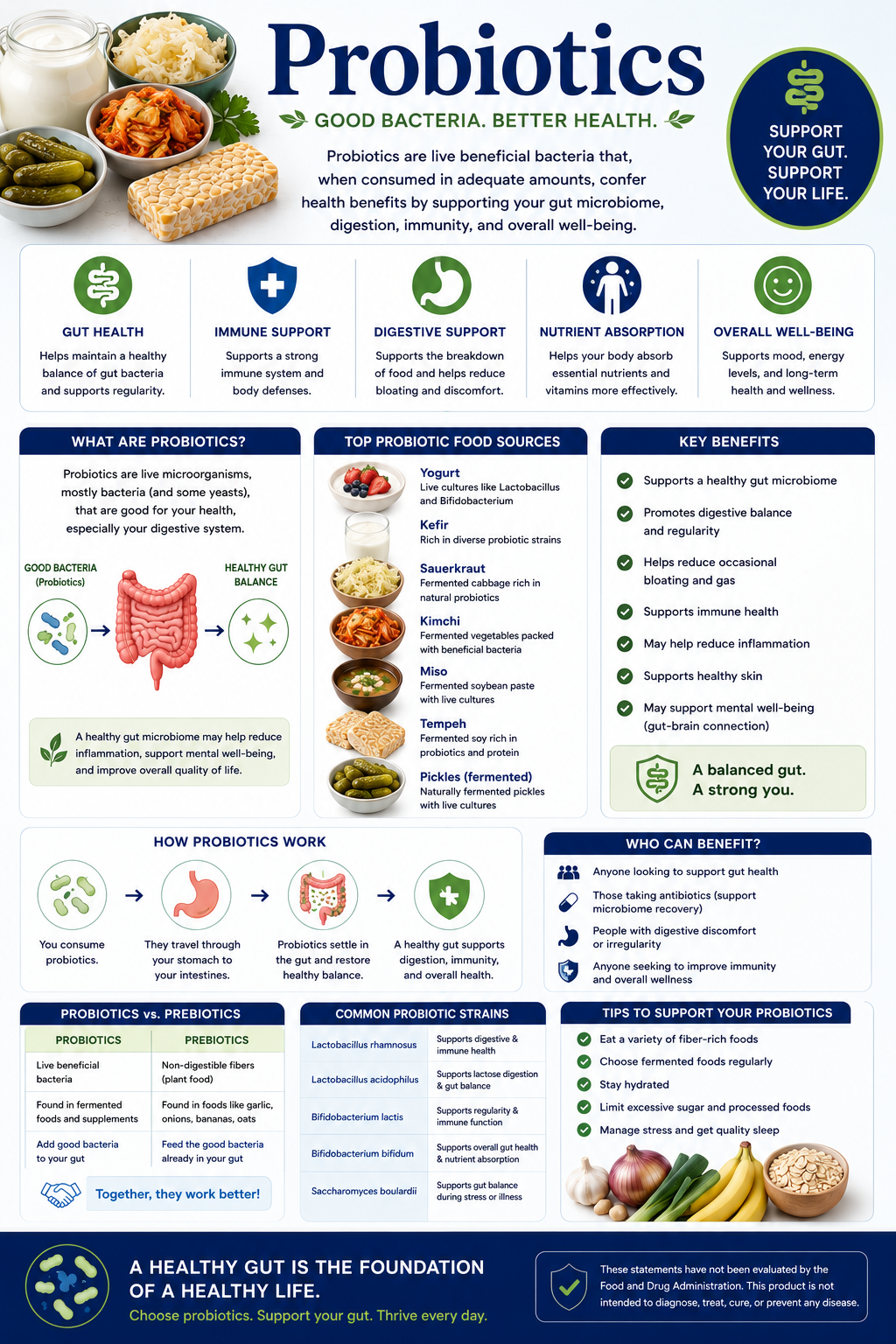 Probiotic supplement capsules with yogurt, kefir, kimchi, and fermented foods supporting gut health, digestive wellness, microbiome balance, and immune support.