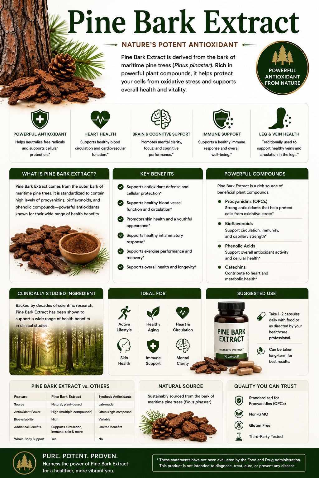 Pine Bark Extract capsules and pine tree bark supporting antioxidant protection, heart health, circulation, skin wellness, cognitive function, and healthy aging.