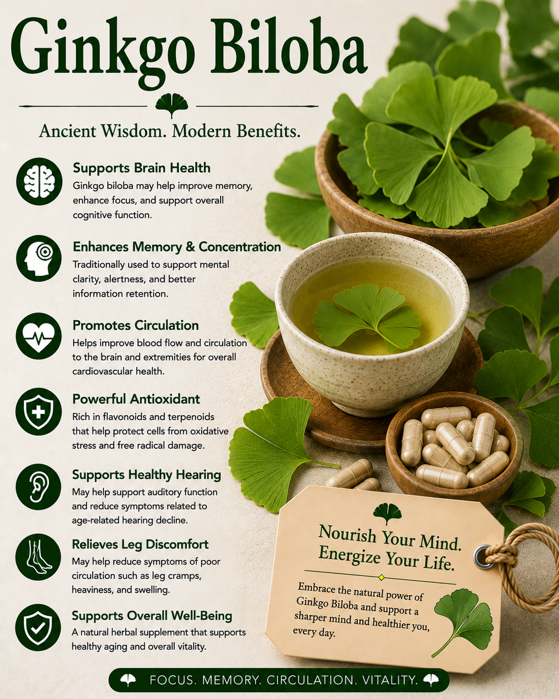 Ginkgo Biloba natural remedy benefits uses side effects and wellness guide