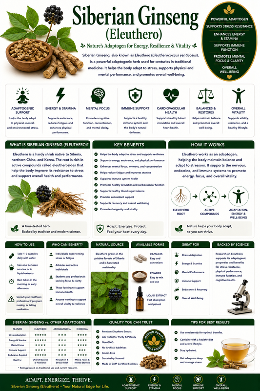 Siberian Ginseng (Eleuthero) root and supplement capsules supporting energy, endurance, stress resilience, and immune wellness.