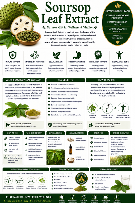 Soursop leaves, graviola leaf tea, and supplement capsules supporting antioxidant protection, immune wellness, and healthy aging.
