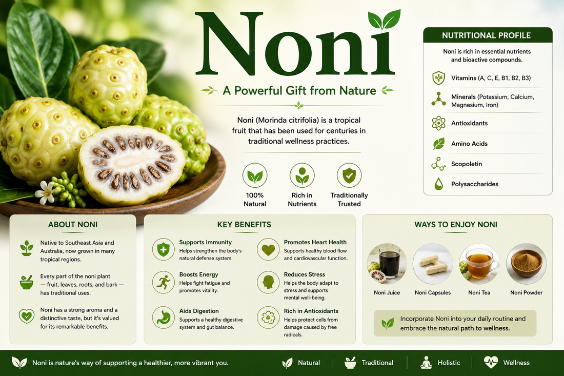 Noni fruit, Noni juice, and Noni supplement capsules supporting immune wellness, antioxidant protection, healthy aging, and overall vitality.
