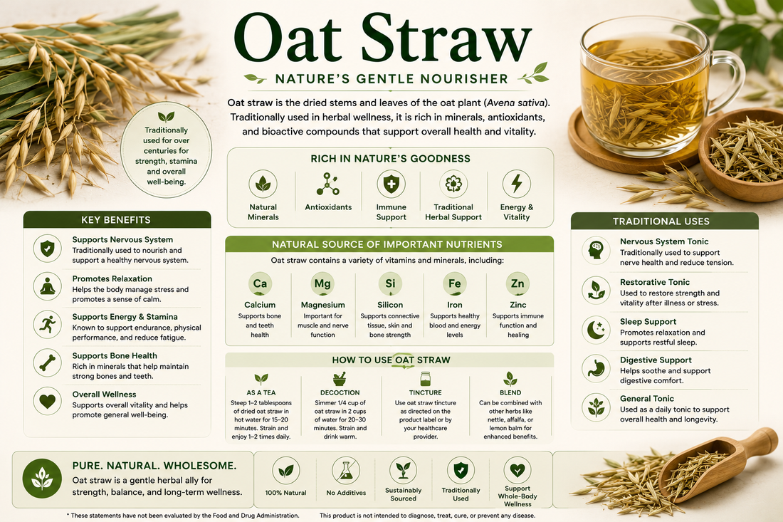 Oat Straw tea, dried oat straw, and Oat Straw capsules supporting relaxation, cognitive wellness, nervous system health, and healthy aging.