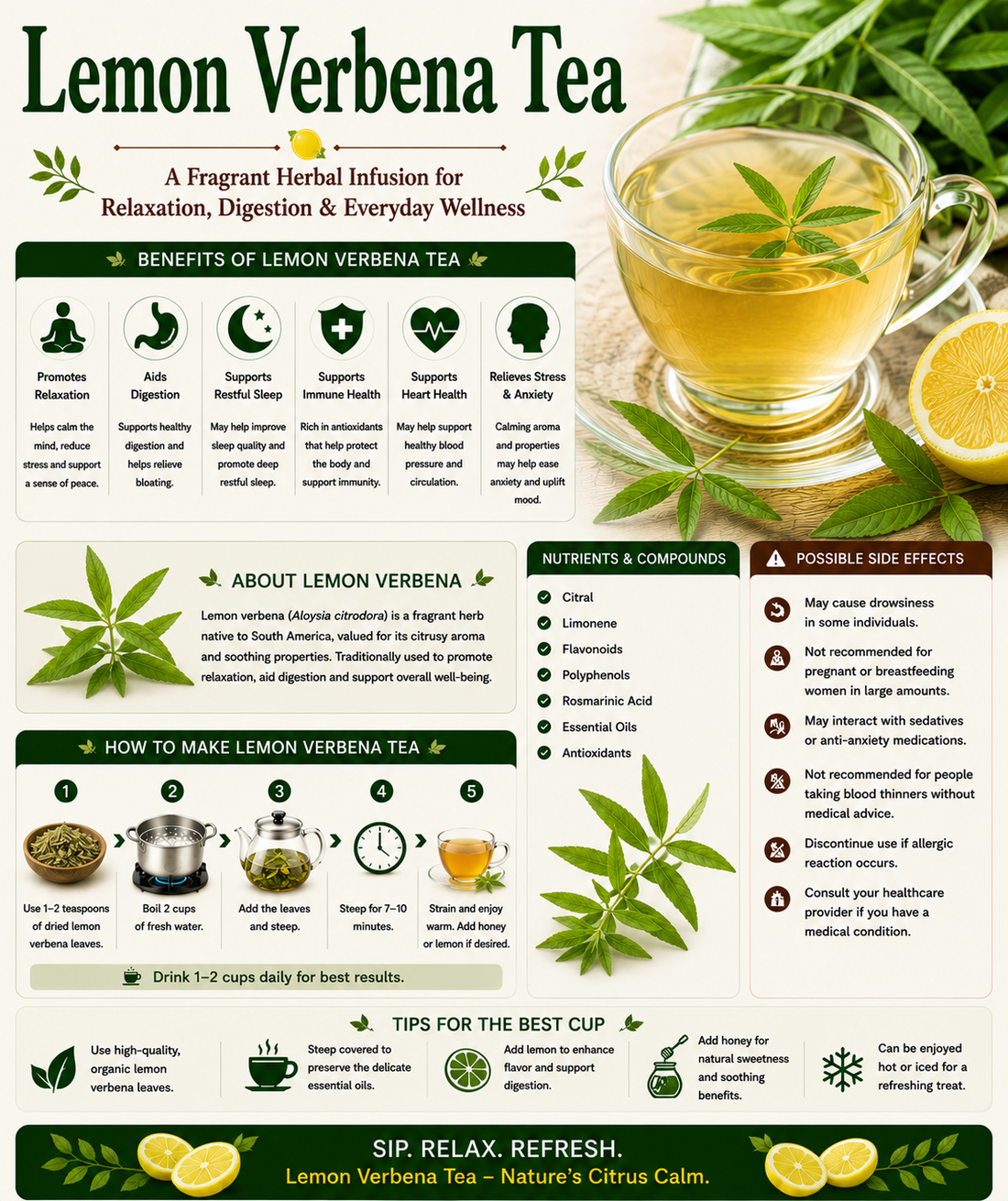 Lemon Verbena Tea 