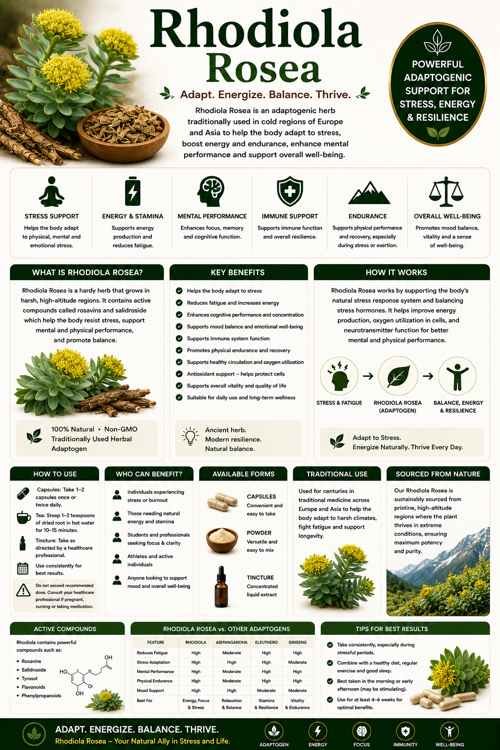 Rhodiola Rosea root, capsules, and herbal supplements supporting stress management, energy production, mental performance, and endurance.