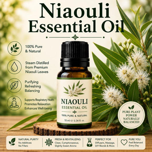 Niaouli essential oil bottle with fresh niaouli leaves showcasing its clean camphoraceous aroma, natural aromatic compounds, aromatherapy applications, and wellness-supporting benefits