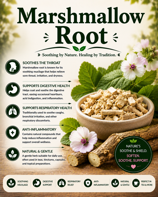 Dried marshmallow root showcasing its natural mucilage, antioxidants, traditional herbal uses, and wellness-supporting botanical compounds.