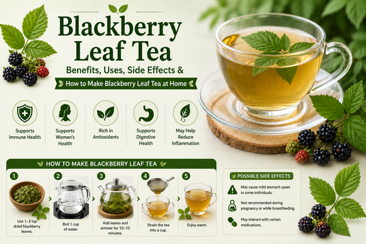 Blackberry Leaf Tea Benefits, Uses, Side Effects & How to Make Blackberry Leaf Tea at Home