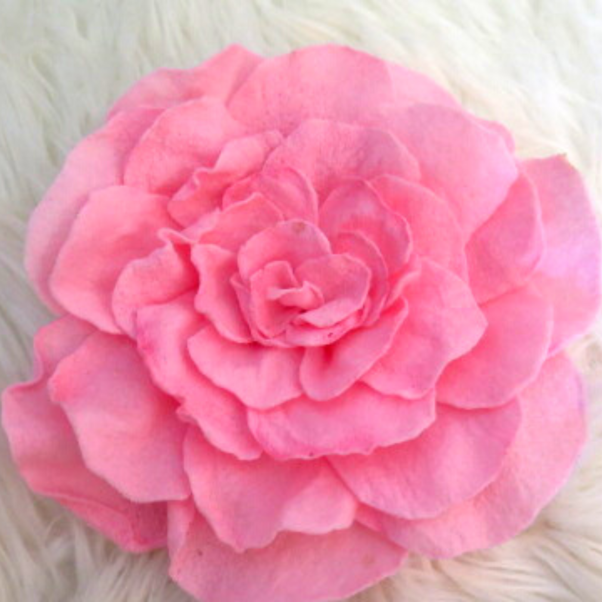 Brooches for Women — Pink Tribe Collection – NESY COLLECTION