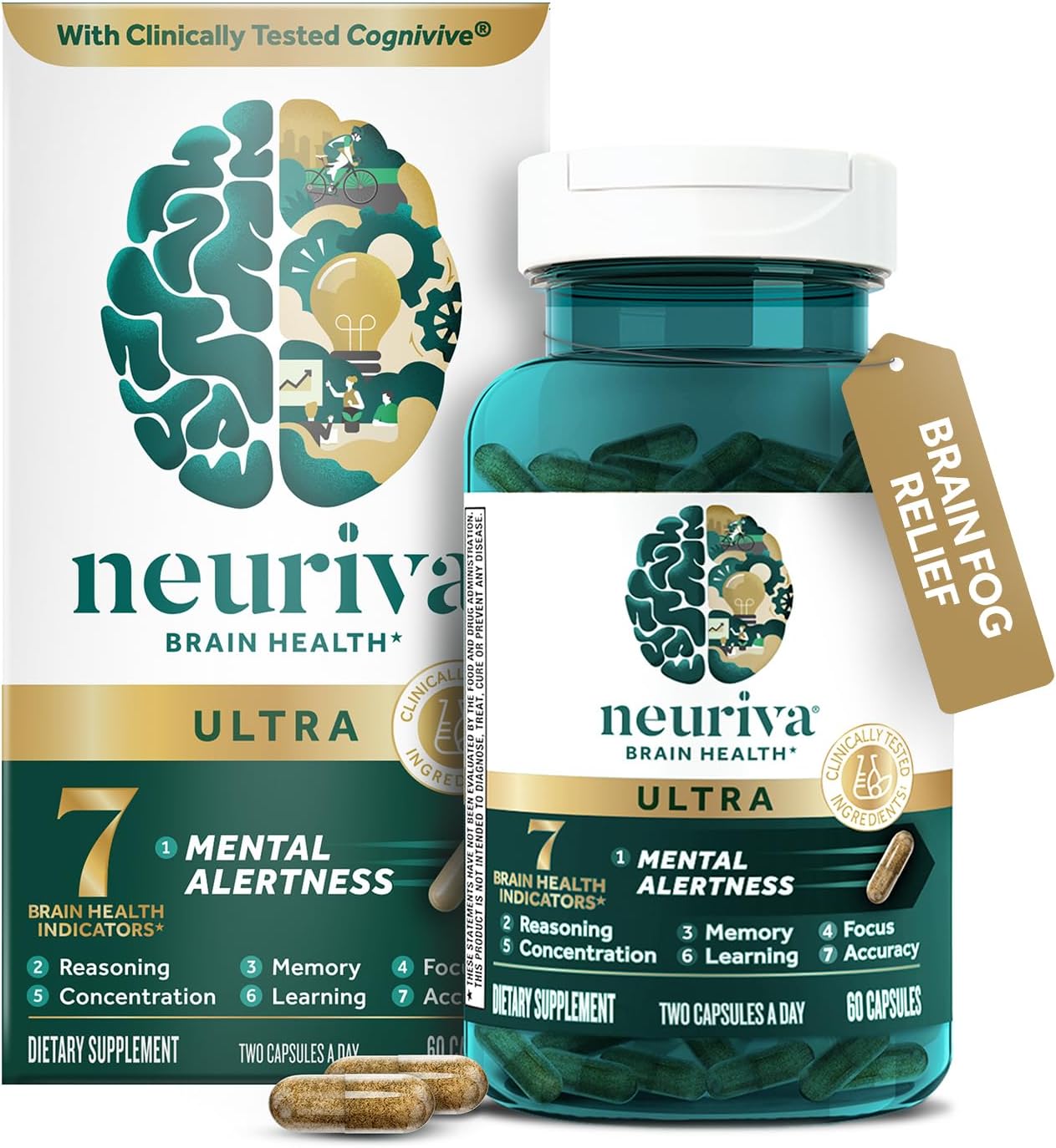 Best Memory Support Supplements: Benefits, Side Effects & Top Picks