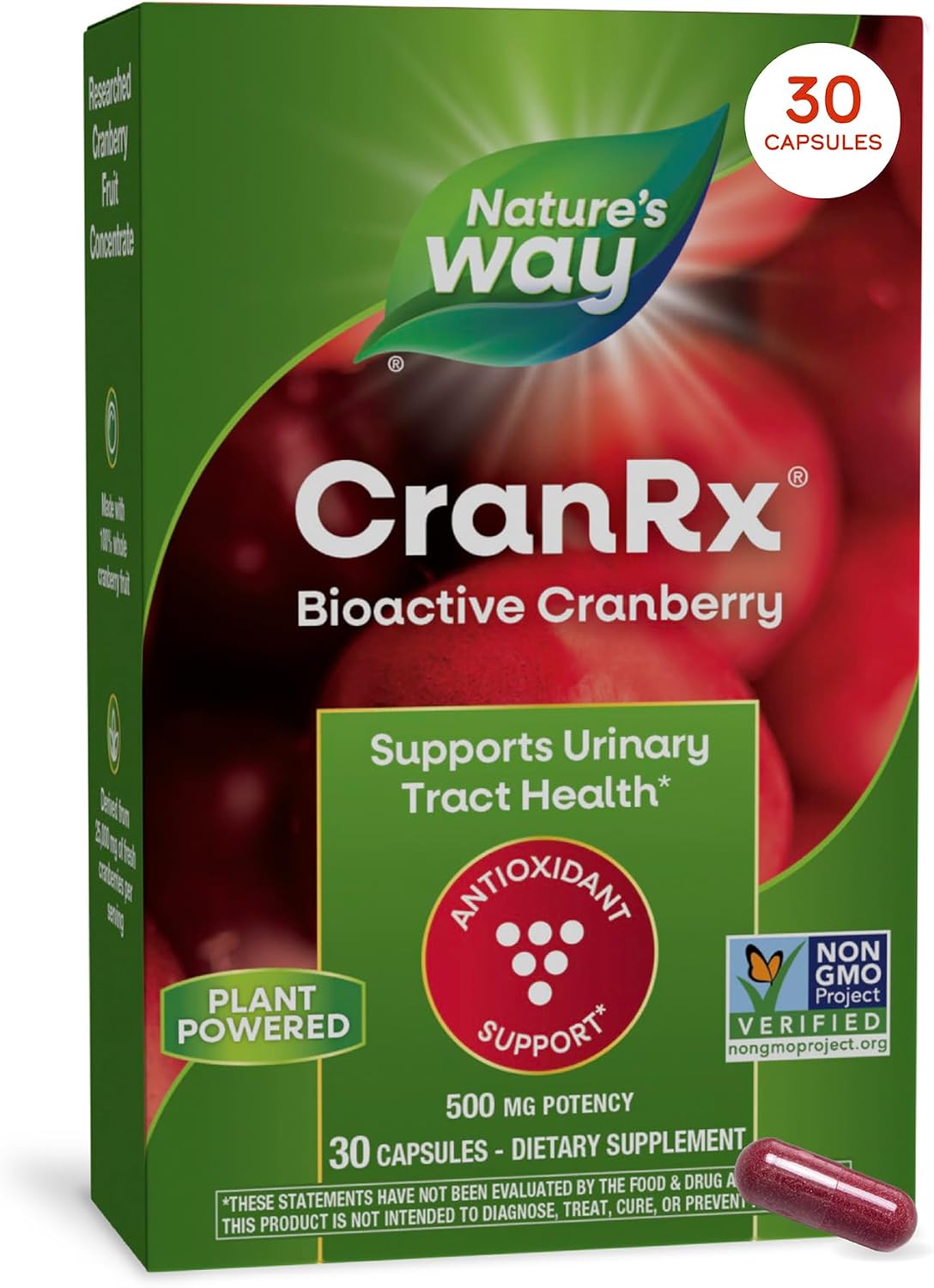 Cranberry Support: Benefits & Best Cranberry Supplements for Urinary Health