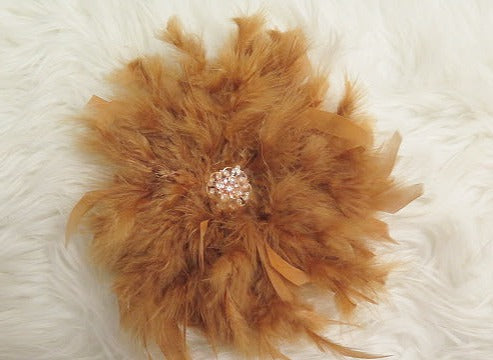 Brown Feather Brooch